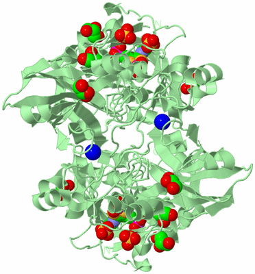 Image Biological Unit 2