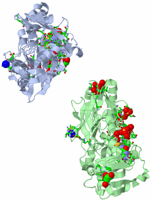 Image Asym. Unit - sites