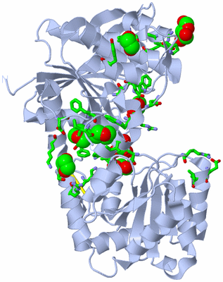 Image Biol. Unit 1 - sites