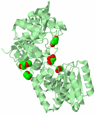 Image Biological Unit 2