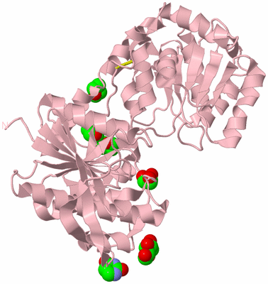 Image Biological Unit 3