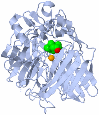 Image Biological Unit 1