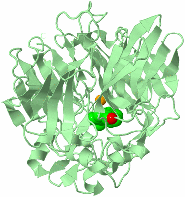 Image Biological Unit 2