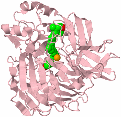 Image Biological Unit 3