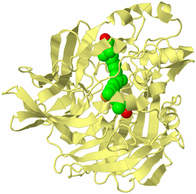 Image Biological Unit 4