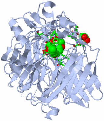 Image Biol. Unit 1 - sites