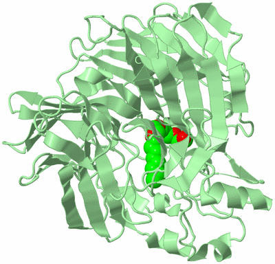 Image Biological Unit 2