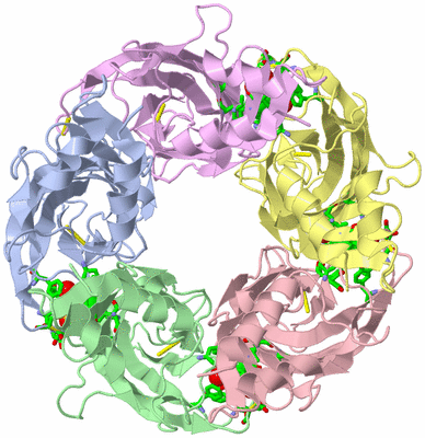 Image Asym./Biol. Unit - sites