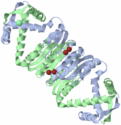 Image Biological Unit 1