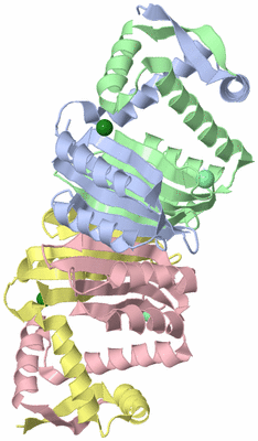 Image Asym./Biol. Unit