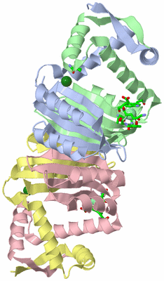 Image Asym./Biol. Unit - sites