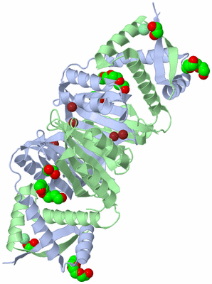 Image Biological Unit 1