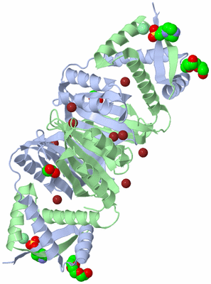 Image Biological Unit 1