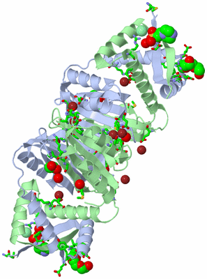 Image Biol. Unit 1 - sites