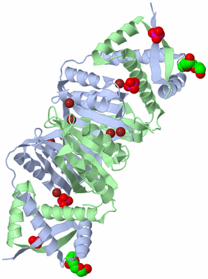 Image Biological Unit 1