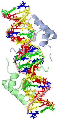 Image NMR Structure - model 1