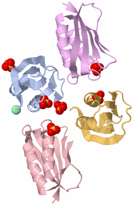Image Asymmetric Unit