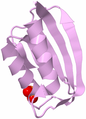 Image Biological Unit 3