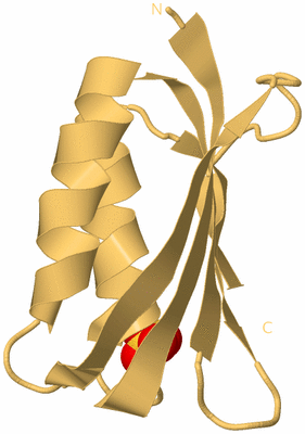 Image Biological Unit 4