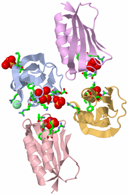 Image Asym. Unit - sites