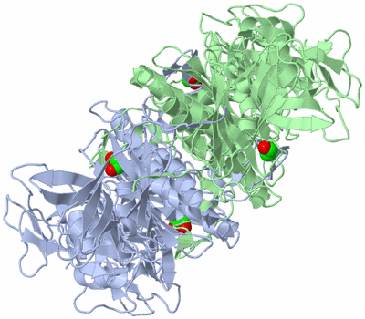 Image Biological Unit 1