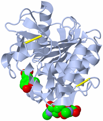 Image Biological Unit 1