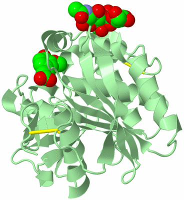 Image Biological Unit 2