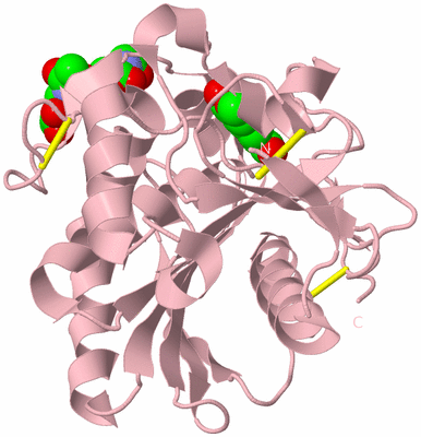 Image Biological Unit 3