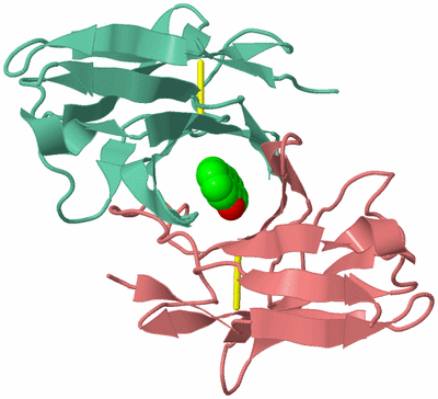 Image Asymmetric Unit