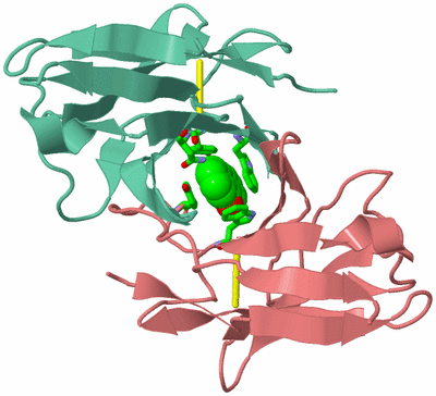 Image Asym. Unit - sites