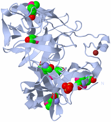 Image Biological Unit 1