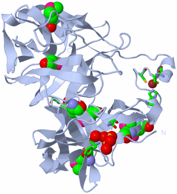 Image Biol. Unit 1 - sites