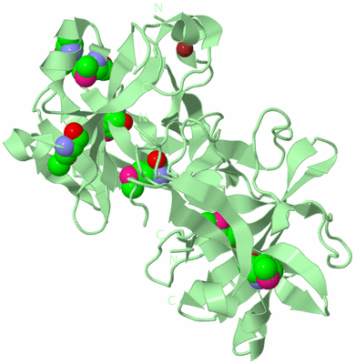 Image Biological Unit 2