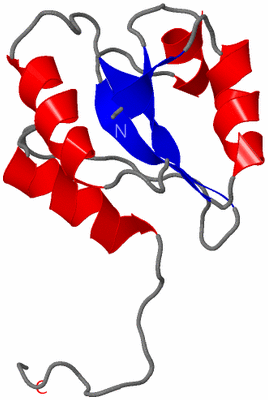 Image NMR Structure - model 1