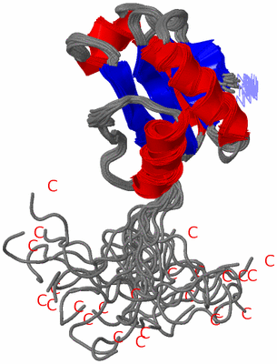 Image NMR Structure - all models