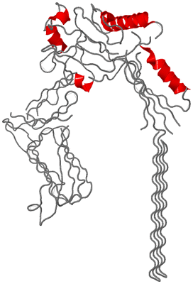 Image Asymmetric Unit