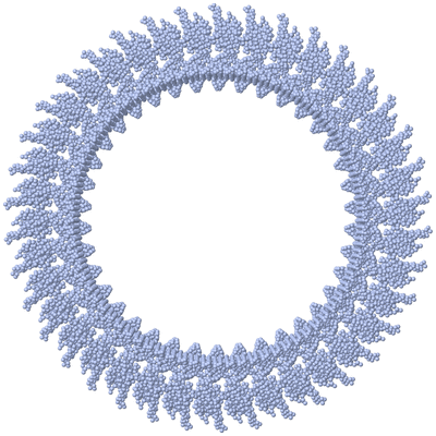 Image Biological Unit 1