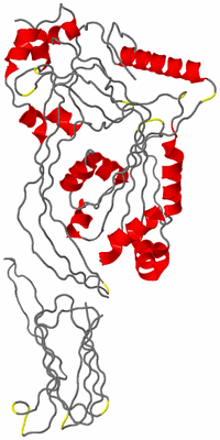 Image Asymmetric Unit