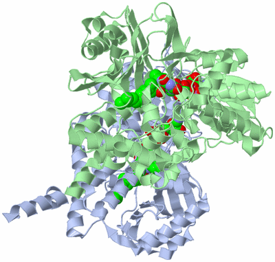 Image Asym./Biol. Unit