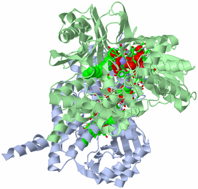 Image Asym./Biol. Unit - sites