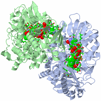 Image Asym./Biol. Unit - sites