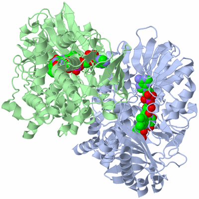 Image Asym./Biol. Unit