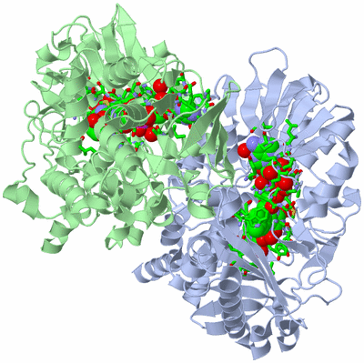 Image Asym./Biol. Unit - sites