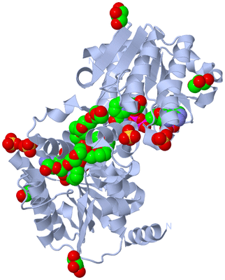 Image Biological Unit 1