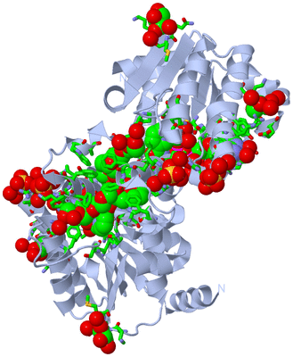 Image Biol. Unit 1 - sites