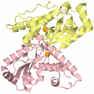 Image Biological Unit 2