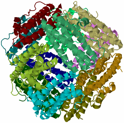 Image Biological Unit 2