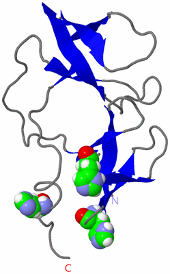 Image NMR Structure - model 1