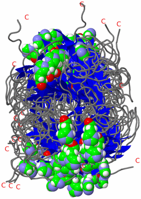 Image NMR Structure - all models