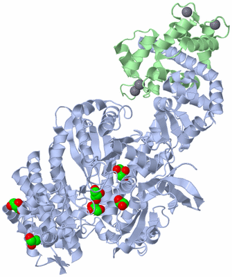 Image Asym./Biol. Unit